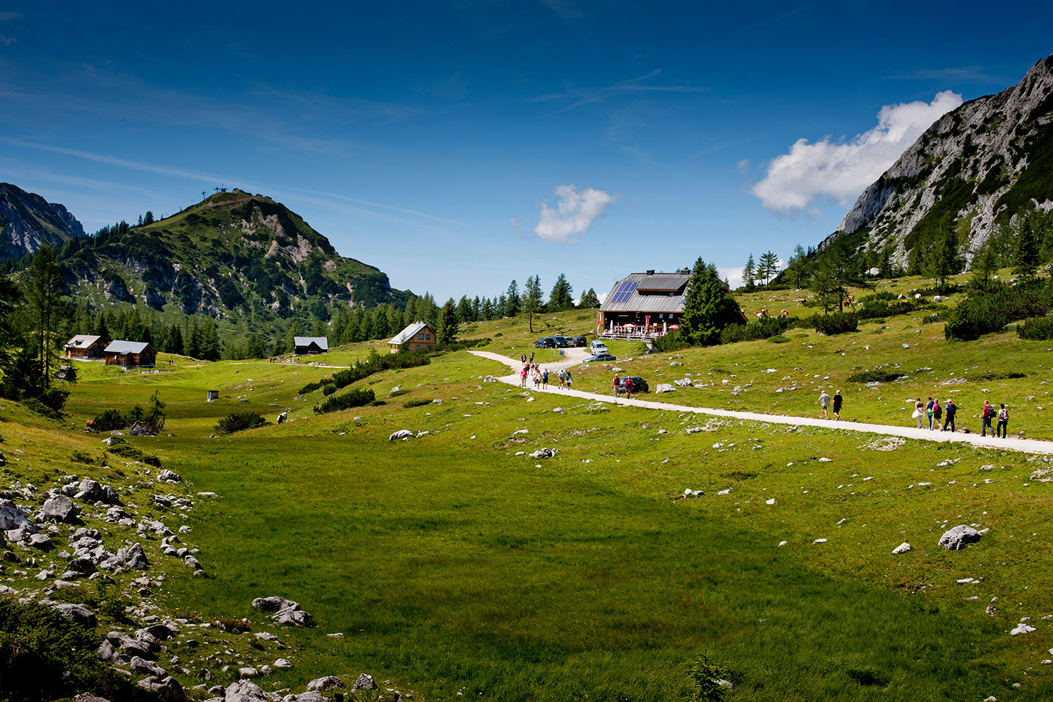 lamm-tom-tauplitz-wandern-der-hechl-3