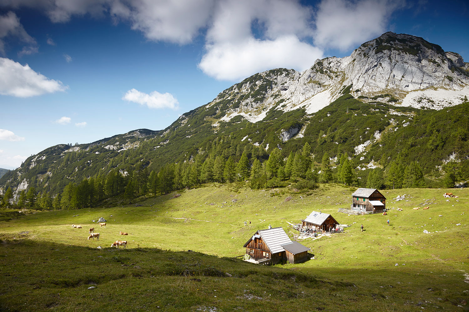 tauplitzalm-leistalm-hechl-tauplitz
