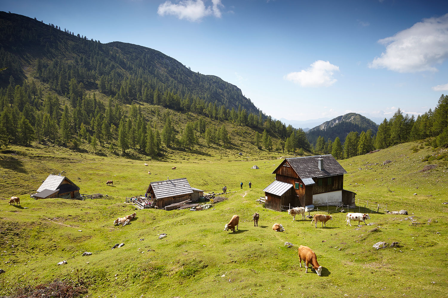 tauplitzalm-leistalm-huette-hechl-tauplitz