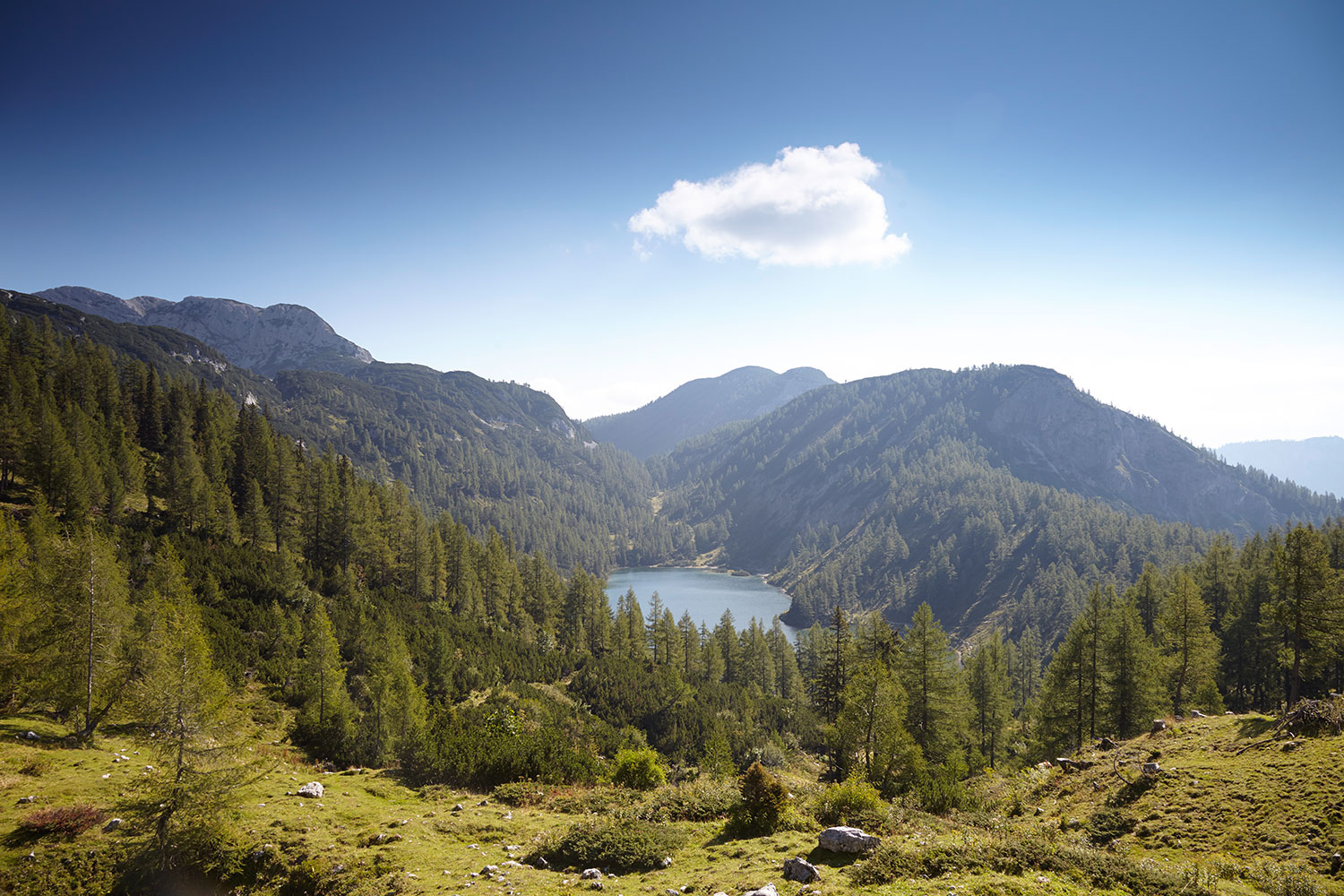 tauplitzalm-steirersee-hechl-tauplitz